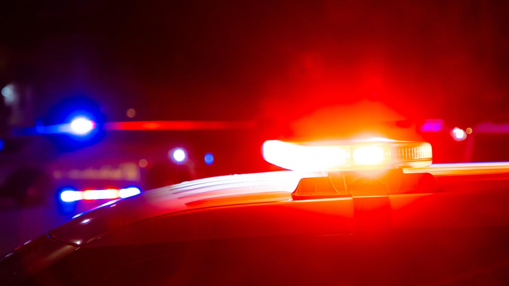 Driver killed in head-on collision with semi in central Minnesota — Eagan Sports news